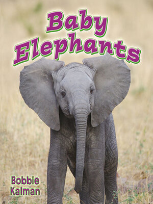 cover image of Baby Elephants